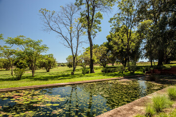 Obraz premium spring in the park