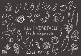 いろんな野菜の手描きイラスト（黒バック）