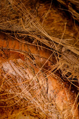 old paper texture close up of coconut fiber handmade use, wallpaper, natural fibers, detailed nature texture