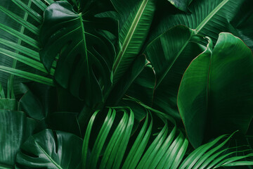 Creative tropical green leaves banana,palm, monstera and fean layout. Nature spring concept. Flat lay. © eakarat