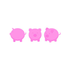This is a pig isolated on a white background.