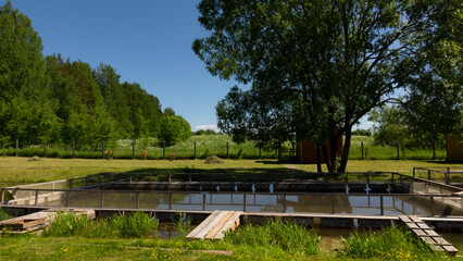 Fish farm in the pond. Aquaculture in the open air.
