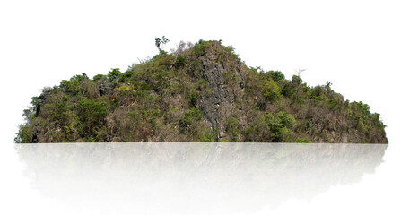 rock mountain with forest isolate on white background
