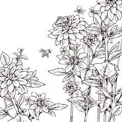 honey bee on dahlia flower hand drawn line illustration - 359477945