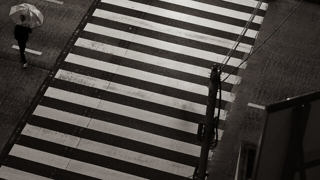 Top view of an Asian guy carrying an umbrella walking across zebra crossing at night time. © Mr. Note19
