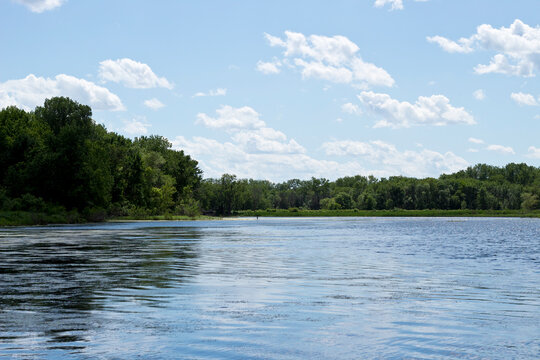 lake in the forest