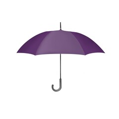 purple umbrella opened up