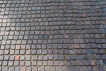 stone pavement made of multicolored granite with the shadow of a tree