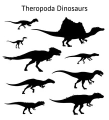 Silhouettes of theropoda dinosaurs. Set. Side view. Monochrome vector illustration of black silhouettes of dinosaurs isolated on white background. Theropods. Proportional dimensions.