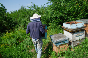 the beekeeper carries the hives