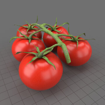 Cherry tomato truss 3