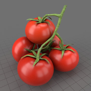 Cherry tomato truss 2