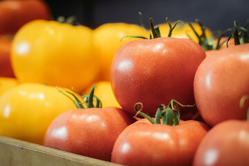 Close-up of red wet tomatoes with yellow vegetables at the background. Fresh tasty organic agricultural products lying on shelf in grocery. Healthy food, vitamin eating, assortment.