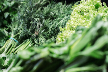 Assortment of greenery in grocery close-up. Green salad on shelf in supermarket. Healthful vegan food, vitamin seasonal eating, nutrition.