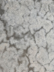 Cement Wall texture detail Background