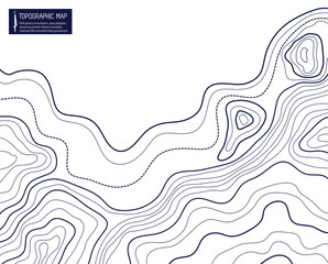 topographic map vector illustration abstract height lines isolated on a white background
