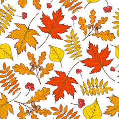 Fototapeta premium Autumn leaves seamless pattern. Fall background. Hand drawn design. Vector illustration