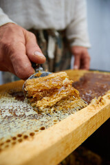 pumping and collecting honey in an apiary in a mechanical honey extractor