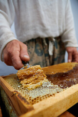 pumping and collecting honey in an apiary in a mechanical honey extractor