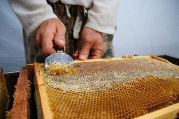 pumping and collecting honey in an apiary in a mechanical honey extractor