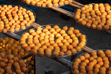 dried up persimmon under the sun