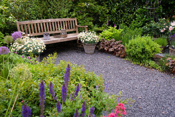 Beautiful blue woodland sage Salvia nemorosa and Purple Sensation Allium aflatunense  in bee friendly English garden. In the background marguerite Leucanthemum vulgare, a wooden bench and gravel path.