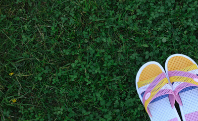 Top view of multicolored flip-flop on dark green grass