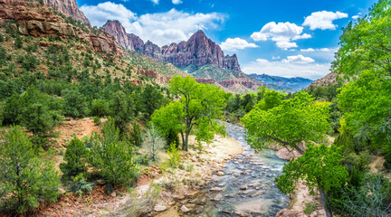 The Virgin River flows through Zion national park, Utah in springtime.