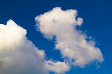 Fototapeta premium white cloud on blue sky
