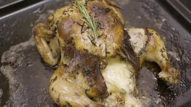 Close up of a good chicken cooked on a baking pan with a sprig of rosemary. Action. Delicious prepared chicken with crispy crust filled with mayonnaise sauce.