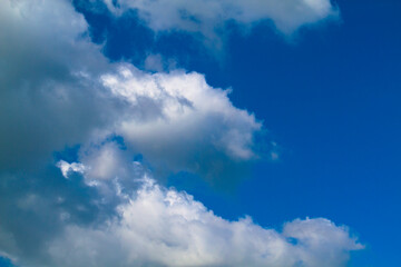 Obraz premium white cloud on blue sky