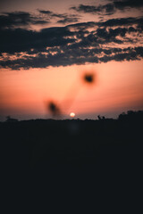 Fototapeta premium Mars Red Sky II