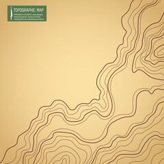 topographic map vector illustration abstract height lines isolated on a brown background