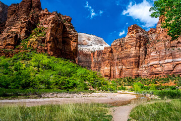A bend in Virgin River by Weeping Rock in Zion national park, Utah in springtime