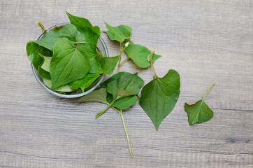 Houttuynia cordata leaves on bowl, eating
