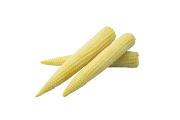 Corn isolated on white background with clipping path