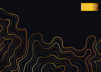 topographic map abstract height lines isolated on black background vector