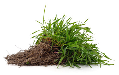 Soil with grass.