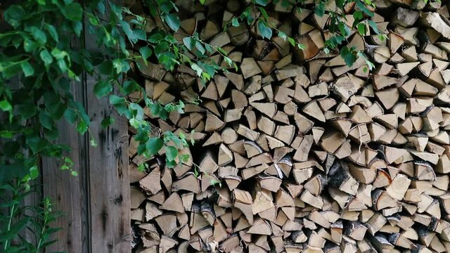 Prepared firewood and birch branch - village and nature background with copy space. Rustic style