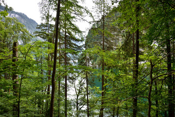 Königssee Berchtesgaden