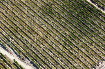Cape Town, Western Cape / South Africa - 04/04/2012: Aerial photo of wine trellis