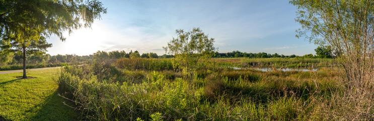 Marshland along the Shadow Creek Ranch Nature Trail in Pearland!