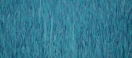 grass texture background used to make cards for the new year festival on valentines day, birthday, poster, christmas