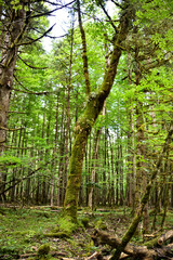 Nationalpark Berchtesgaden