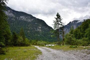 Fototapeta na wymiar Nationalpark Berchtesgaden