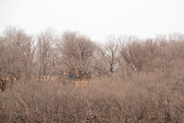 Tourist on Safari jeep enjoying game drive at Ranthambore Tiger Reserve, Sawai Madhopur