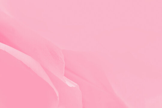 Fototapeta Pink gradient abstract background with blurred lines, pastel wallpaper