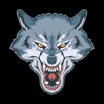 Vector illustration of a wolf. Angry animal for tattoo or t-shirt print. Predator illustration for a sport team. Vector character. Sketch for mascot, logo or symbol. Wolf on black background.