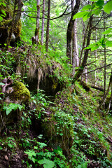 Nationalpark Berchtesgaden