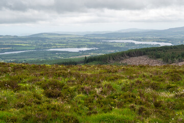 Fototapeta na wymiar Panoramic view of Wicklow Mountains. This place is famous for uncontaminated nature, misty landscapes and lakes. Panoramic view during summer time 